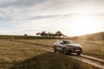 Audi Q8 55 TFSI Quattro 2018 года (AU)